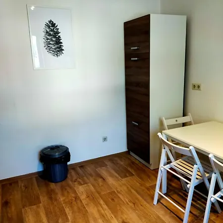 - Kurzzeitvermietungen Direkt Bei Den Leunawerken, 2-3 Schlafzimmer