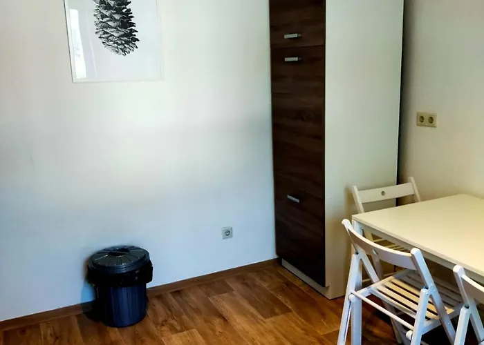 - Kurzzeitvermietungen Direkt Bei Den Leunawerken, 2-3 Schlafzimmer